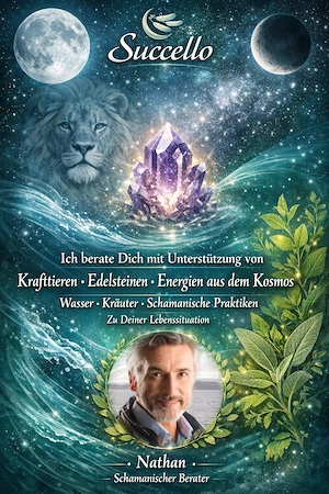 Nathan auf Succello - Neukundengespräch