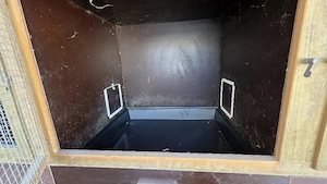 großer Hasenstall, Siebdruckplatten! Bild 3