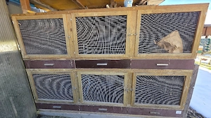 großer Hasenstall, Siebdruckplatten!