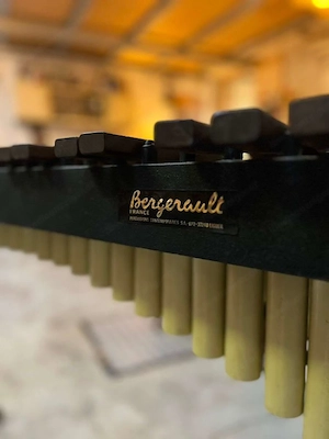 Xylophon Bergerault BP2 Bild 7