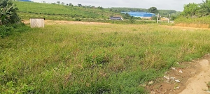 Immobiliendienstleistungen  Bild 3