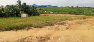 Immobiliendienstleistungen  Bild 4