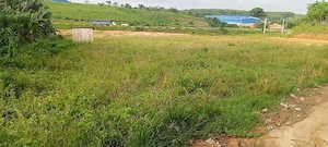 Immobiliendienstleistungen  Bild 2