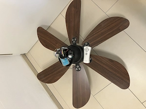 Moderner Deckenventilator mit Licht & Fernbedienung   Top Zustand! Bild 3