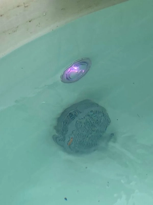 Whirlpool - Softub Modell Resort Bild 4