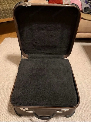 Steyrische Harmonika Beltuna Alpstar 4d GCFB Bild 3