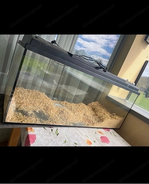 Hamstergehege Aquarium