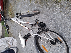 Fahrrad X-Fact Bild 2