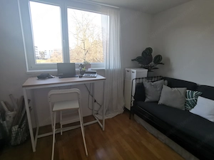 Sehr ruhige, gemütliche 3-Zimmerwohnung direkt an der Ill in Feldkirch-Gisingen ab Juli zu vermieten Bild 5