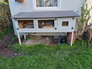 Stall (Hasen usw) Bild 2