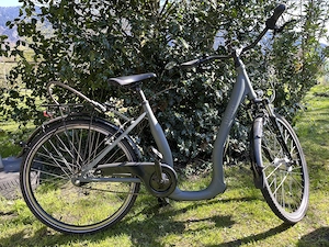 Tiefeinsteiger  Comfort Deluxe Plus , 28 Zoll, 7-Gang, Bild 2