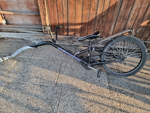 Nachläufer Schwinn Fastback Tagalong