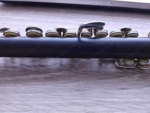 Johannes Gerhard Hammig 750 3 Piccolo flute Bild 2