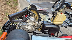 Sodi Rotax DD2 Rennkart Bild 3