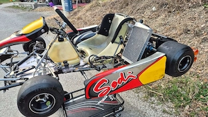 Sodi Rotax DD2 Rennkart Bild 4
