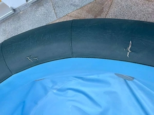 Softub Whirlpool Legend Bild 5