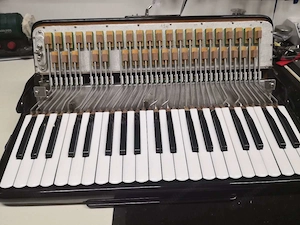 Sonola Academy 2 (Guerrini Superior 2) Bild 7