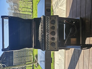 Napoleon Gasgrill Bild 2