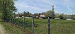 Offenstall- & Weideplätze   Ruhiger Senioren Pferdehof in Südungarn  Bild 4