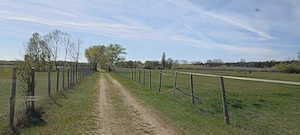 Offenstall- & Weideplätze   Ruhiger Senioren Pferdehof in Südungarn  Bild 2