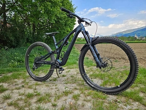 Specialized Spumpjumper evo Expert S2 Bild 2