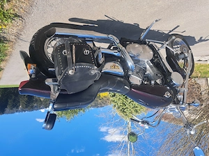 Kawasaki VN 15 SE Top gepflegt Bild 3