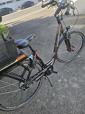 ebike mit elektronischer Automatikschaltung Bild 2