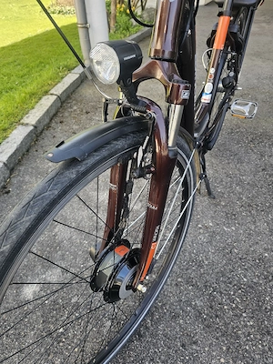 ebike mit elektronischer Automatikschaltung Bild 5