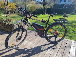 KTM Mountainbike E-race