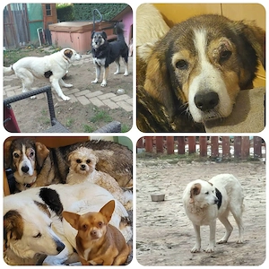 Marta und Mabel - NOTFALL Österreich Bild 7