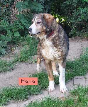 Marta und Mabel - NOTFALL Österreich Bild 2