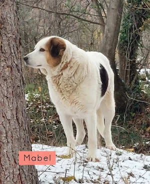 Marta und Mabel - NOTFALL Österreich Bild 4