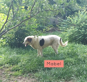 Marta und Mabel - NOTFALL Österreich Bild 5