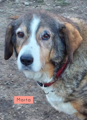 Marta und Mabel - NOTFALL Österreich Bild 3