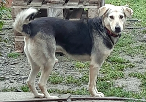 Gianna - NOTFALL Österreich Bild 4