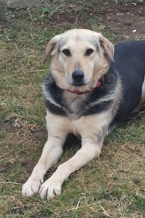 Gianna - NOTFALL Österreich Bild 2