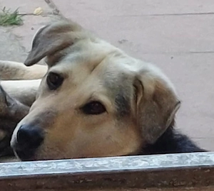 Gianna - NOTFALL Österreich Bild 6