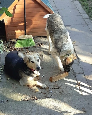 Gianna - NOTFALL Österreich Bild 7