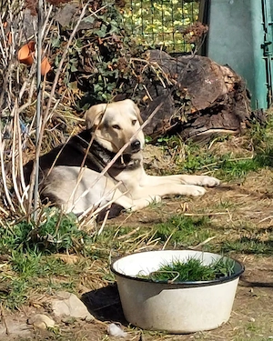 Gianna - NOTFALL Österreich Bild 5