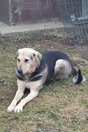 Gianna - NOTFALL Österreich Bild 3