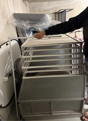 Hundebox mit Schubladen Bild 4