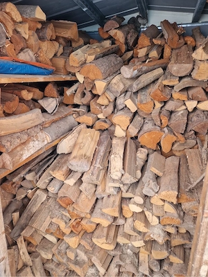 Brennholz zu verkaufen (ca. 2,5 Kubikmeter) Bild 4