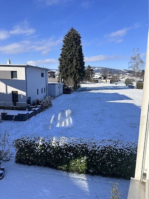 Modernes EFH in Lustenau (2017)   Gas, Solar; Riednähe   Traum-Aussicht! Bild 3