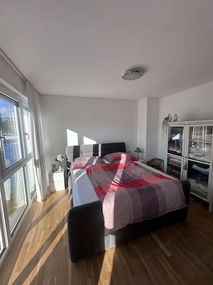 Modernes EFH in Lustenau (2017)   Gas, Solar; Riednähe   Traum-Aussicht! Bild 2