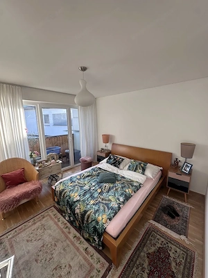 Modernes EFH in Lustenau (2017)   Gas, Solar; Riednähe   Traum-Aussicht! Bild 6