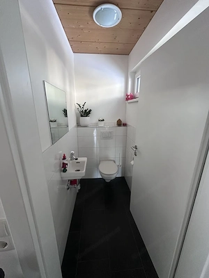 Modernes EFH in Lustenau (2017)   Gas, Solar; Riednähe   Traum-Aussicht! Bild 8