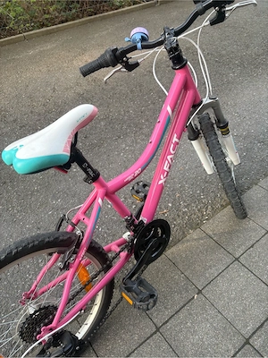 Fahrrad 20 Zoll Bild 4