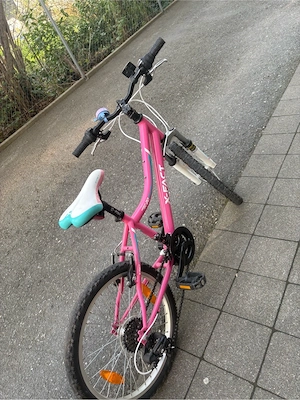Fahrrad 20 Zoll Bild 5