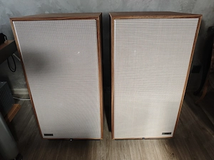 Pylon Jade 30 Lautsprecher im Top Zustand, Giant Killer Bild 2