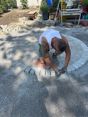 Baumfällung Baumschnitte Kronensicherung Rückschnitte Rodung Garten neu Anlegen Heckenschnitt Pflanz Bild 5